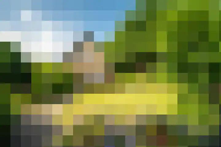 Zeeweg 35 Nunspeet thumbnail 6