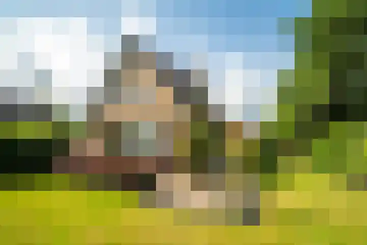 Zeeweg 35 Nunspeet thumbnail 7