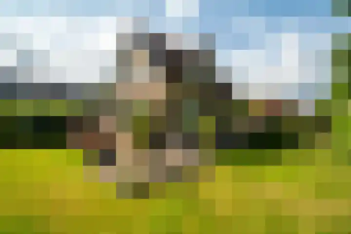 Zeeweg 35 Nunspeet thumbnail 8