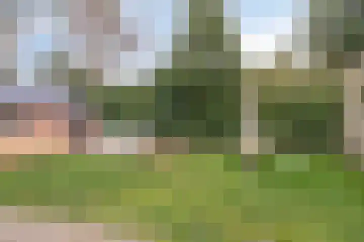 Zeeweg 39 Heiloo thumbnail 33