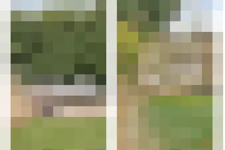Zeeweg 39 Heiloo thumbnail 34