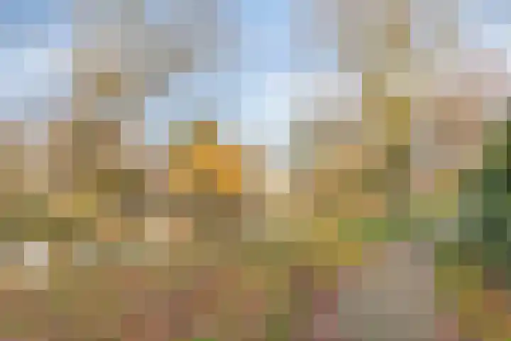 Zeeweg 39 Heiloo thumbnail 38