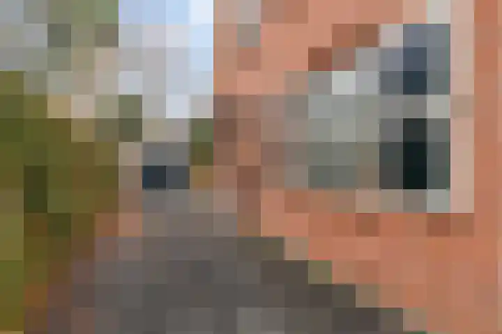 Zeeweg 39 Heiloo thumbnail 4