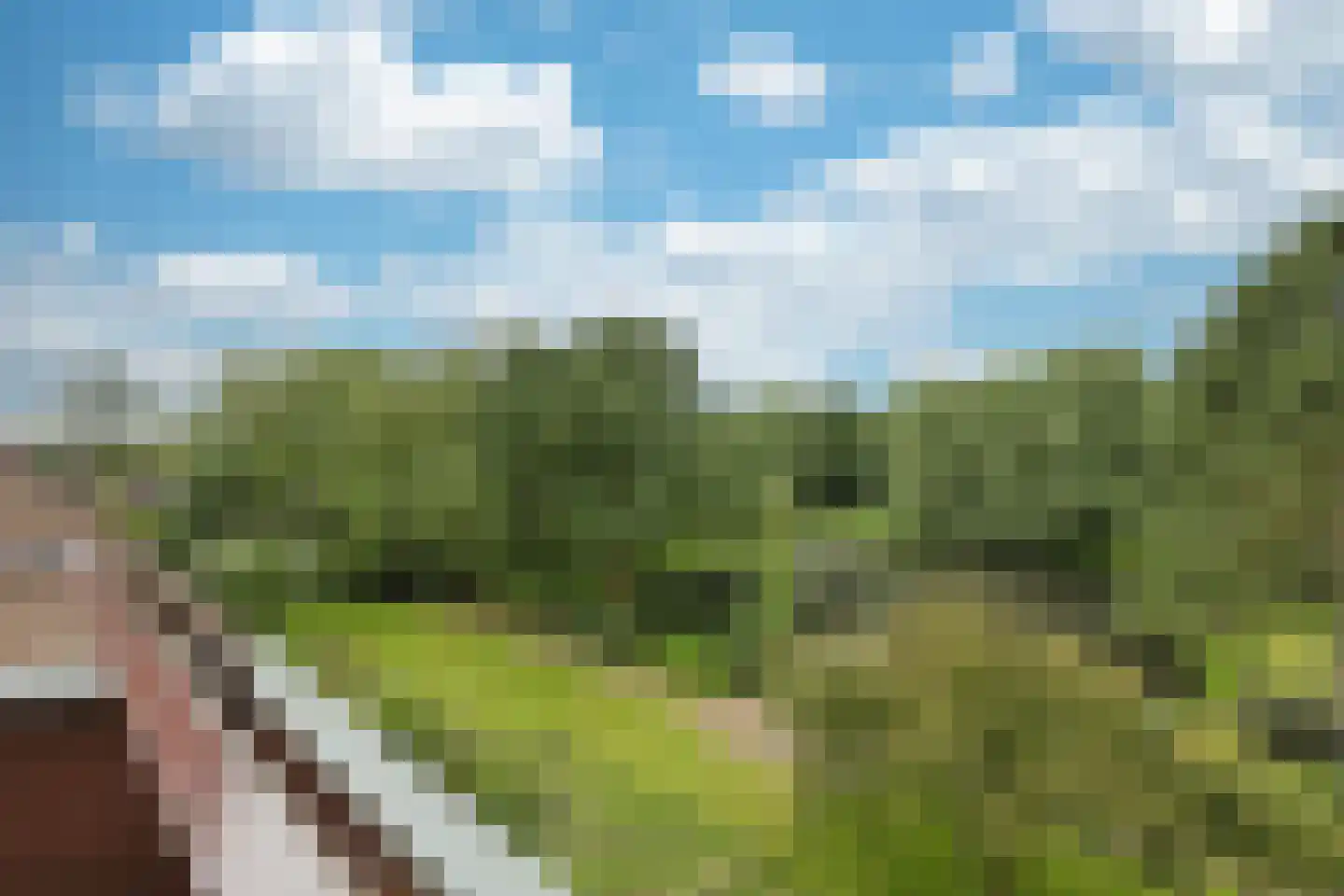 Zeeweg 406 Heiloo thumbnail 28