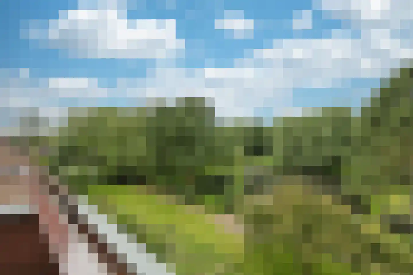 Zeeweg 406 Heiloo thumbnail 28