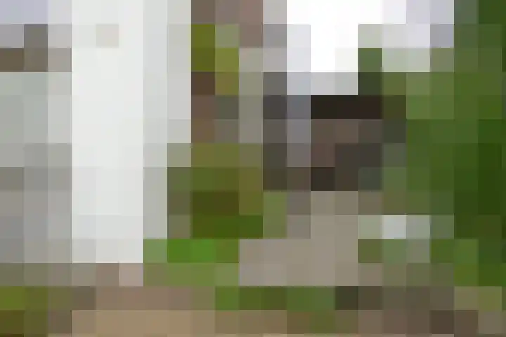 Zeeweg 48 Huizen thumbnail 11
