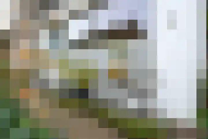 Zeeweg 48 Huizen thumbnail 13