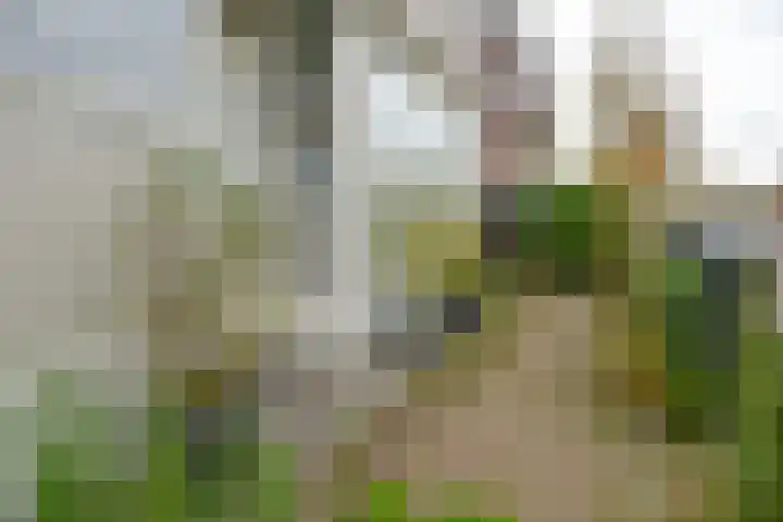 Zeeweg 48 Huizen thumbnail 14