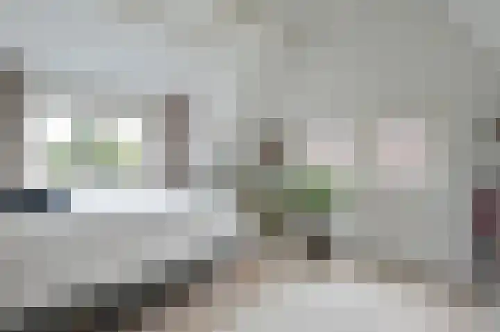 Zeeweg 48 Huizen thumbnail 8