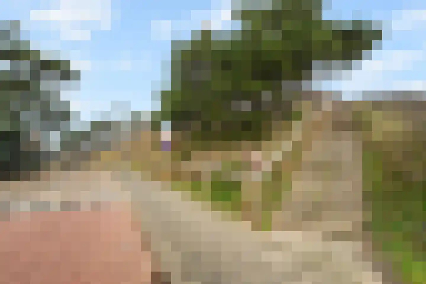 Zeeweg 99 Egmond aan Zee thumbnail 33