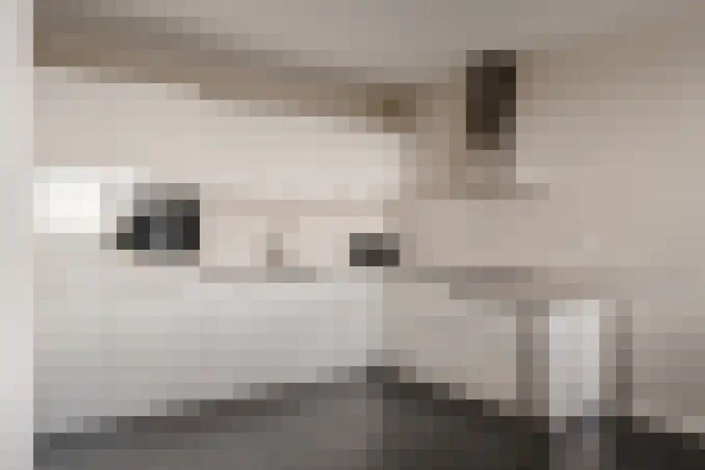 Zeewijck 4 Noordwijk thumbnail 16