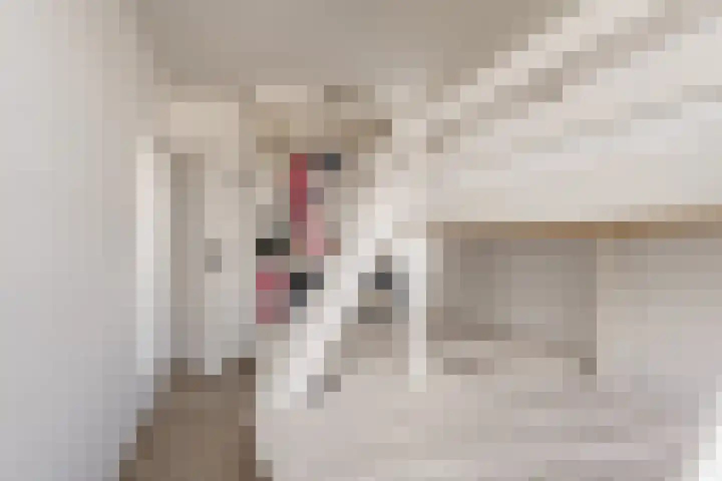 Zeewijck 4 Noordwijk thumbnail 40