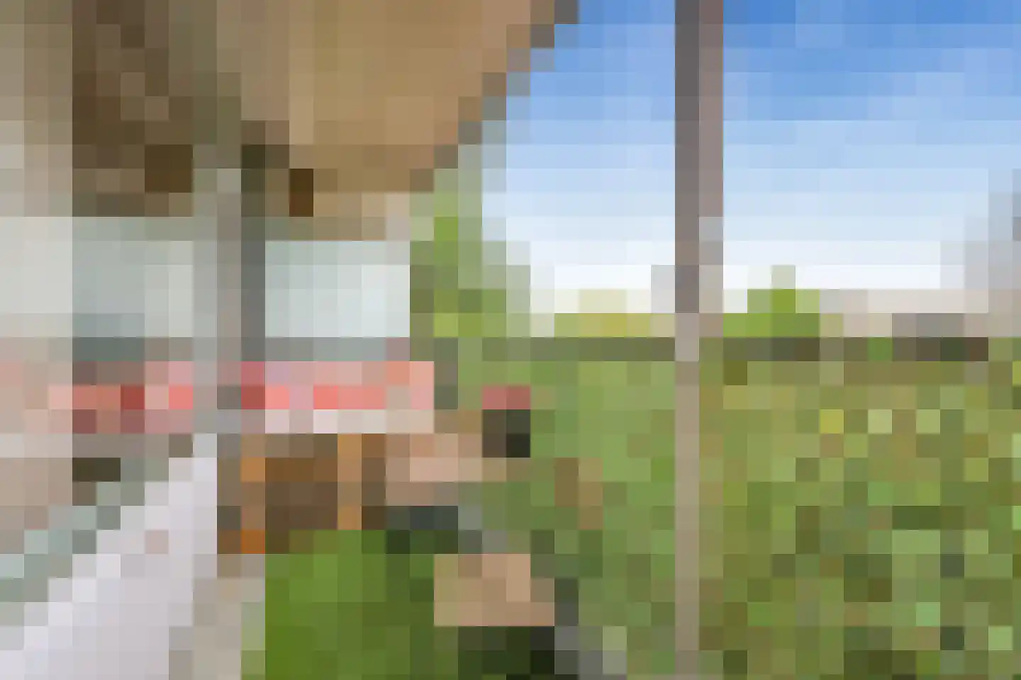Zeewijkplein 10 IJmuiden thumbnail 30
