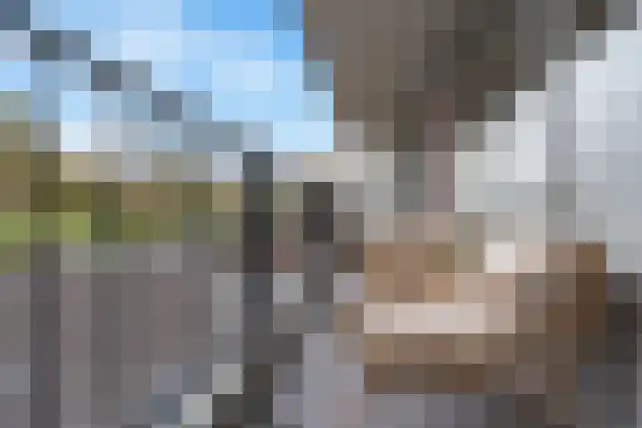 Zeewijkplein 2 IJmuiden thumbnail 16