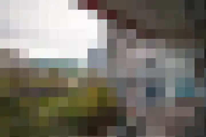 Zeewijkplein 28 IJmuiden thumbnail 11
