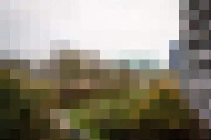 Zeewijkplein 28 IJmuiden thumbnail 12