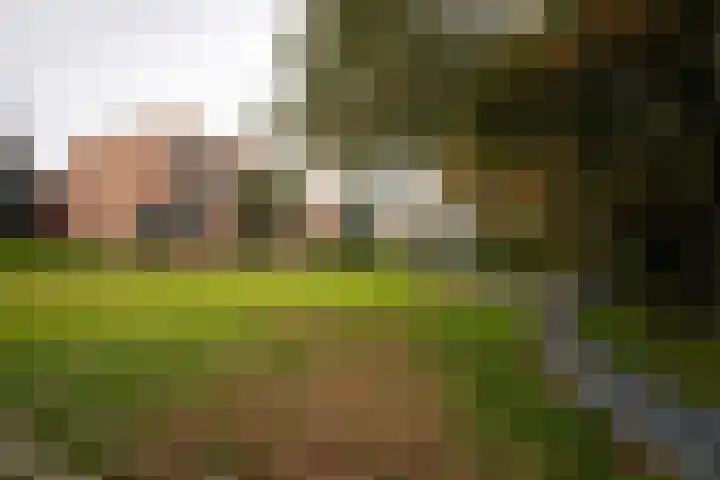 Zeewijkplein 28 IJmuiden thumbnail 27