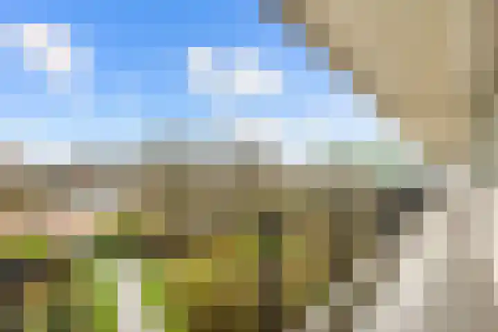 Zeewijkplein 36 IJmuiden thumbnail 11