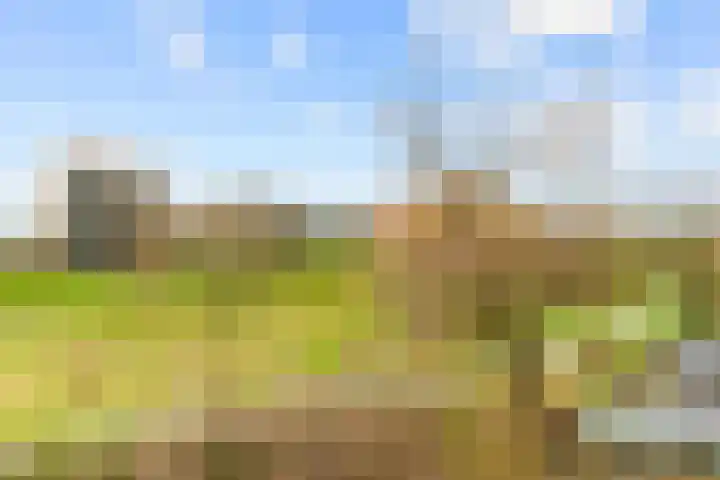 Zeewijkplein 36 IJmuiden thumbnail 25