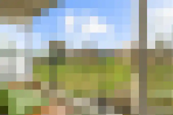 Zeewijkplein 36 IJmuiden thumbnail 26