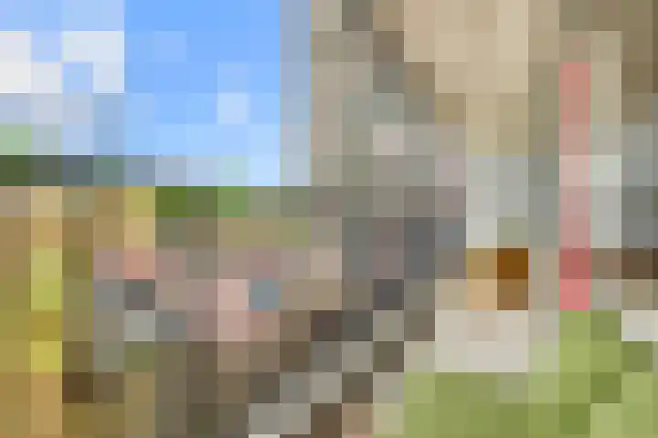 Zeewijkplein 36 IJmuiden thumbnail 27