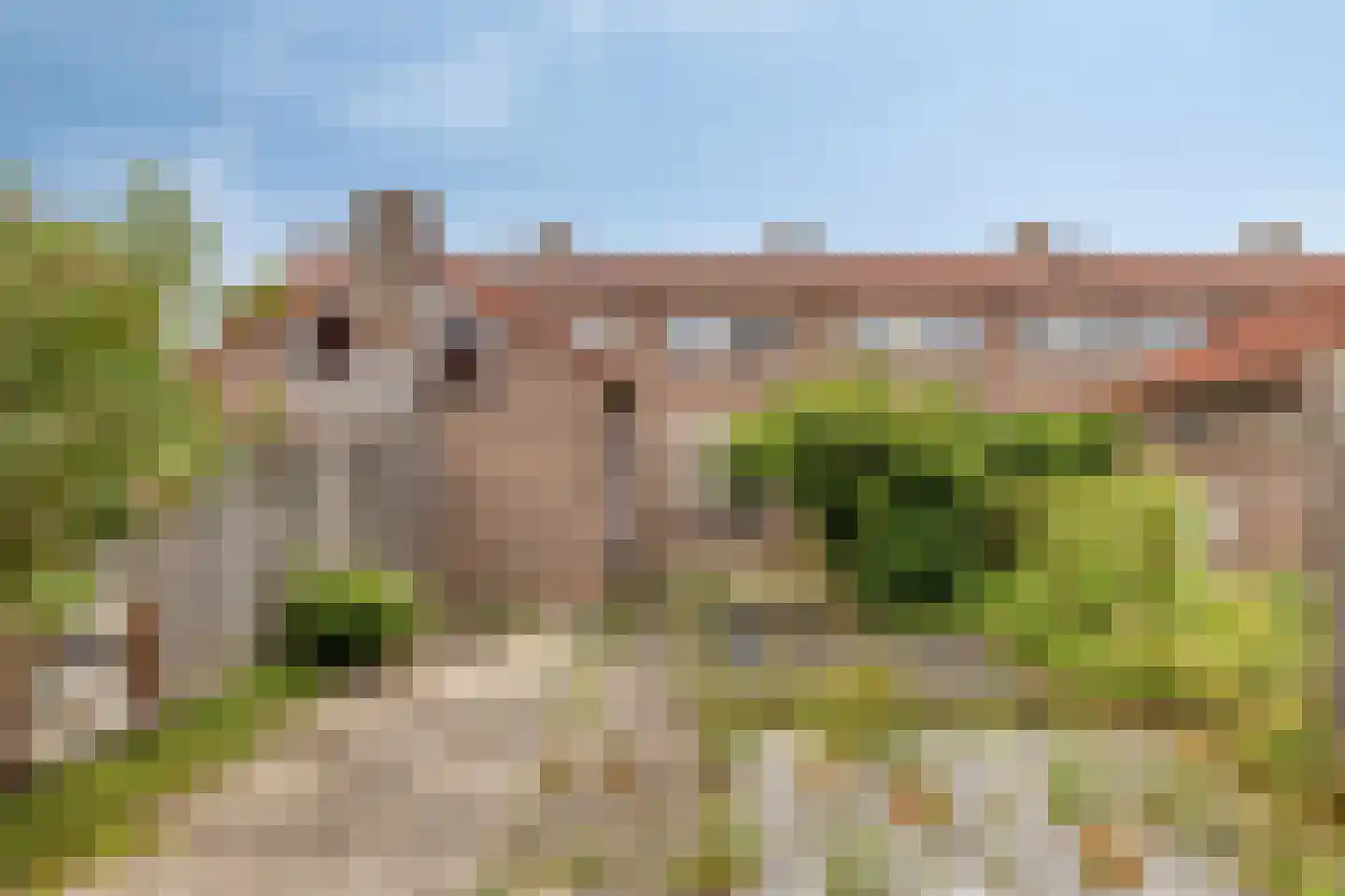 Zeewijksingel 12 Oost-Souburg thumbnail 24