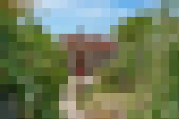 Zeewijksingel 22 Oost-Souburg thumbnail 22