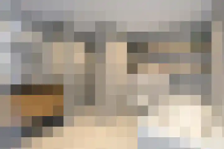 Zeewinde 12 Katwijk thumbnail 20