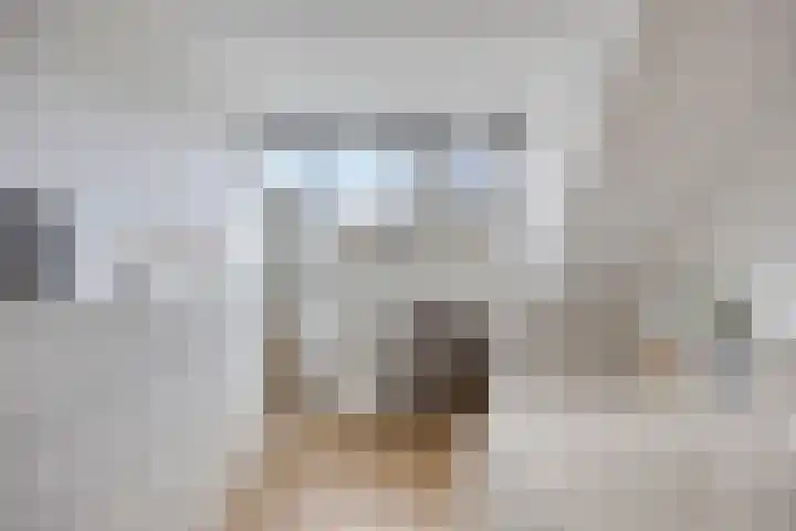 Zeewinde 12 Katwijk thumbnail 26