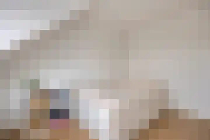 Zeewinde 12 Katwijk thumbnail 27
