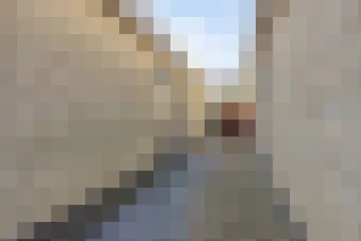 Zeewinde 12 Katwijk thumbnail 40