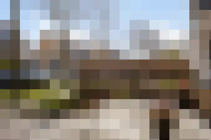 Zeewinde 12 Katwijk thumbnail 41