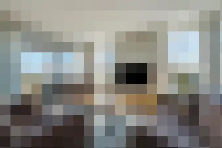 Zeewinde 22 Naaldwijk thumbnail 9