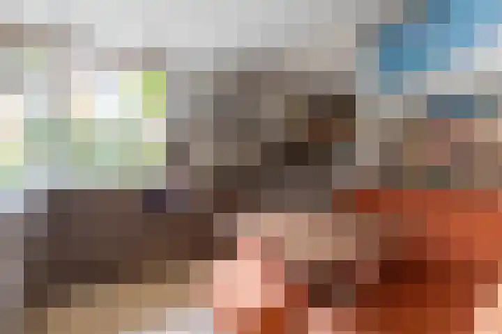 Zeewinde 5 Alphen aan den Rijn thumbnail 10