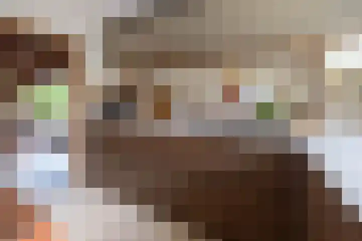 Zeewinde 5 Alphen aan den Rijn thumbnail 14