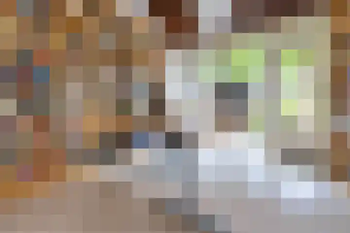Zeewinde 5 Alphen aan den Rijn thumbnail 15