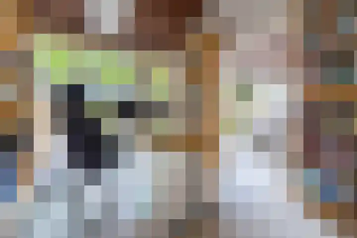Zeewinde 5 Alphen aan den Rijn thumbnail 16