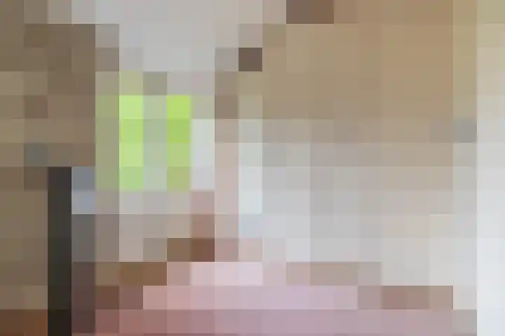 Zeewinde 5 Alphen aan den Rijn thumbnail 23