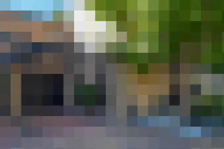 Zeewinde 5 Alphen aan den Rijn thumbnail 28