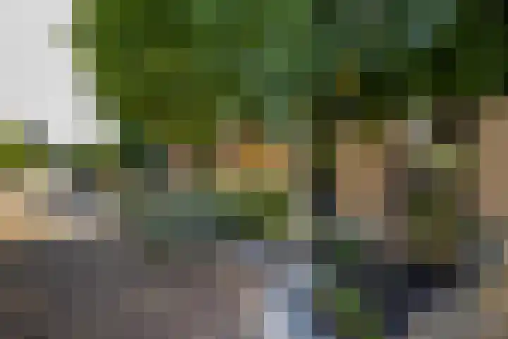 Zeewinde 5 Alphen aan den Rijn thumbnail 29