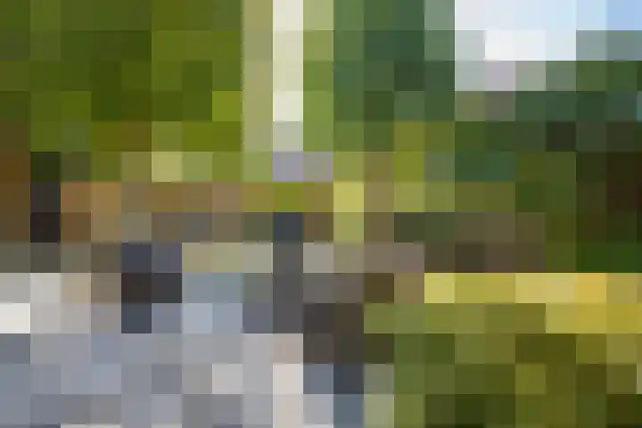 Zeewinde 5 Alphen aan den Rijn thumbnail 30