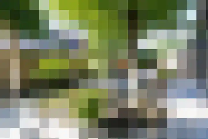 Zeewinde 5 Alphen aan den Rijn thumbnail 32