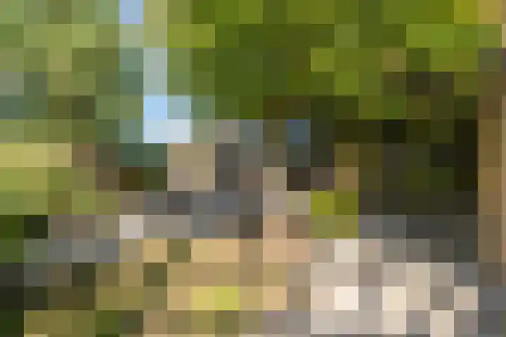 Zeewinde 5 Alphen aan den Rijn thumbnail 33