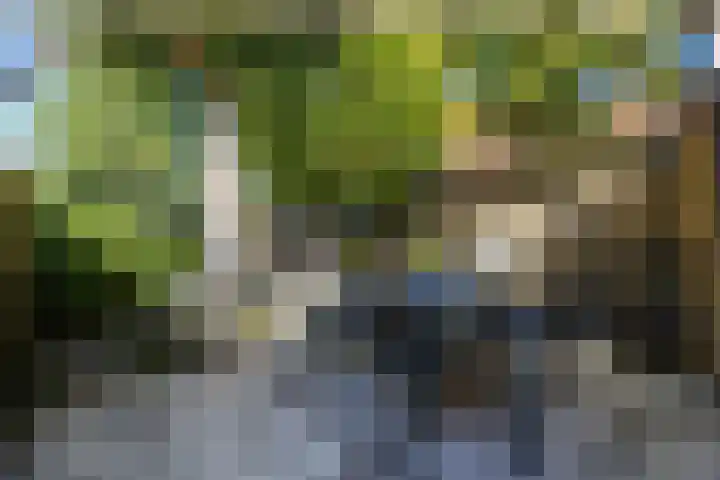 Zeewinde 5 Alphen aan den Rijn thumbnail 34