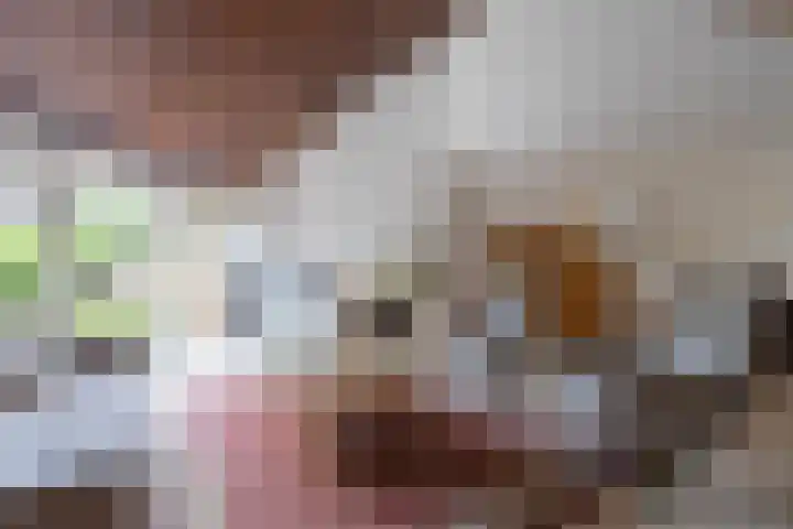 Zeewinde 5 Alphen aan den Rijn thumbnail 4