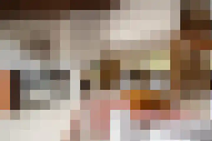 Zeewinde 5 Alphen aan den Rijn thumbnail 5