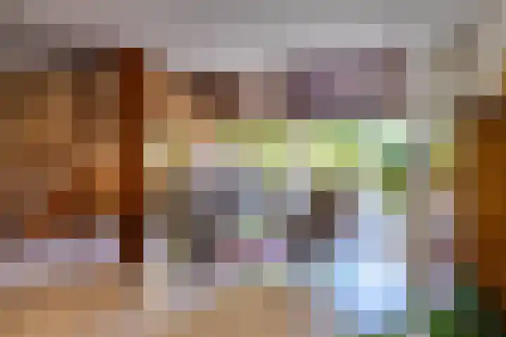 Zeewinde 5 Alphen aan den Rijn thumbnail 6