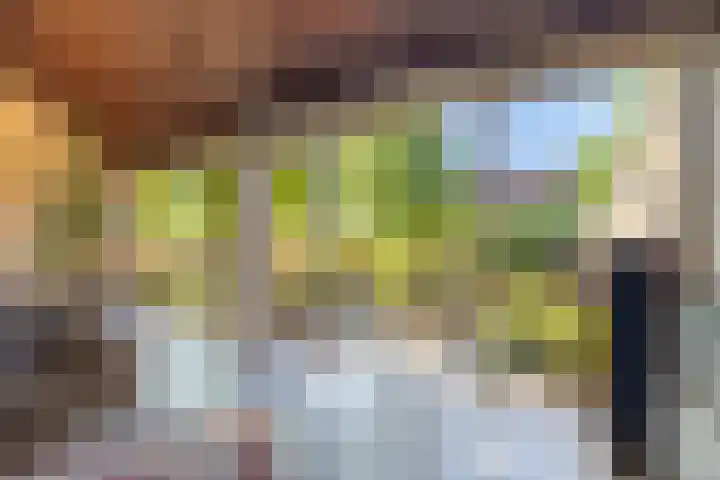 Zeewinde 5 Alphen aan den Rijn thumbnail 7