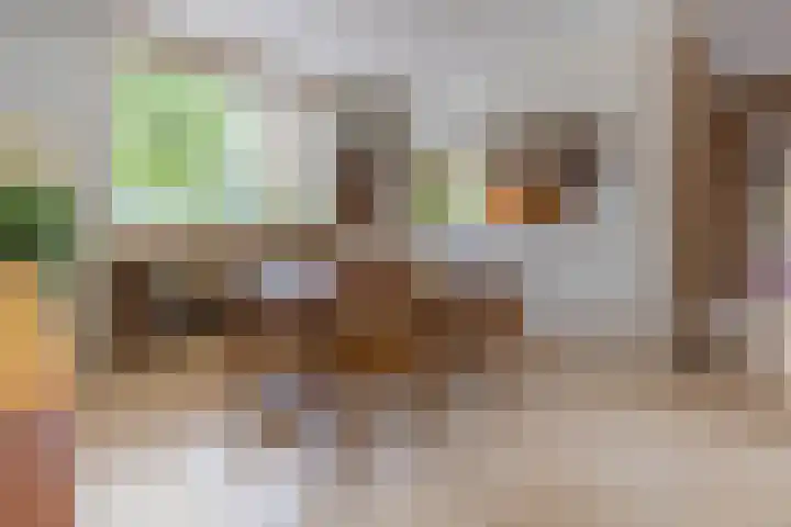 Zeewinde 5 Alphen aan den Rijn thumbnail 8