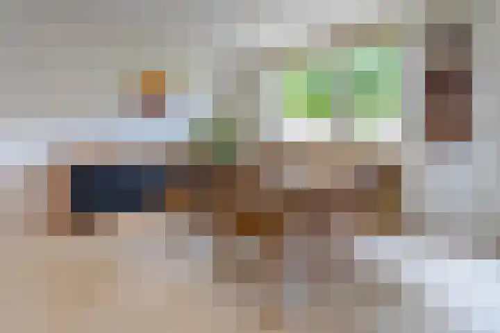 Zeewinde 5 Alphen aan den Rijn thumbnail 9